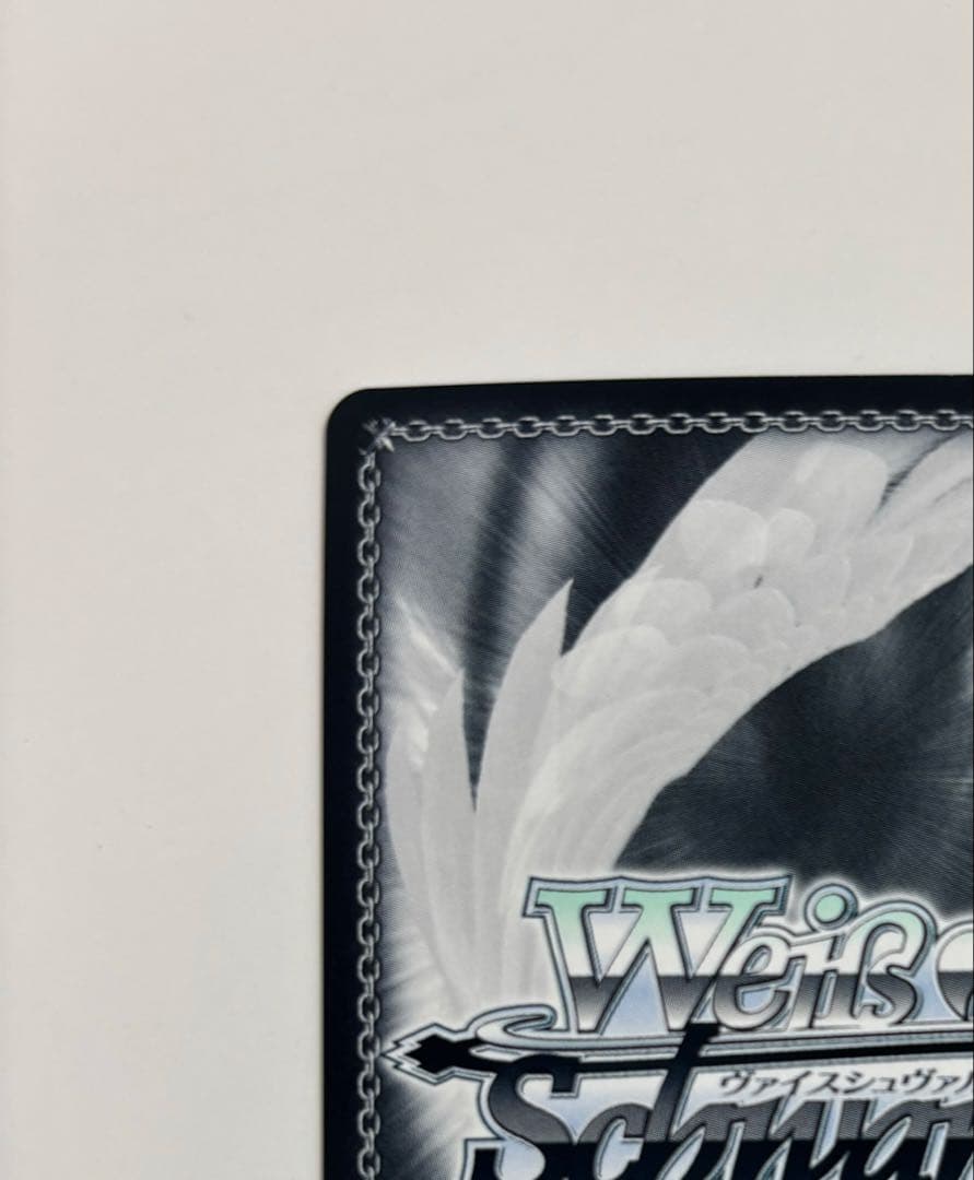 【ヴァイスシュバルツ】キャンプ場でおさんぽ 恵那&はんぺん&ちくわ