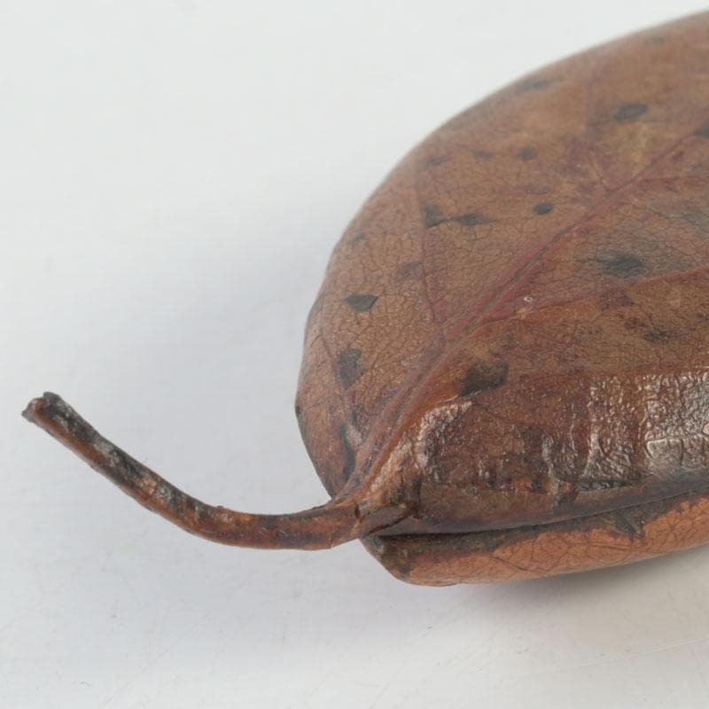 茶道具　山中塗師　新井宗賀作　乾漆　柿ノ葉香合　共箱　V　9706