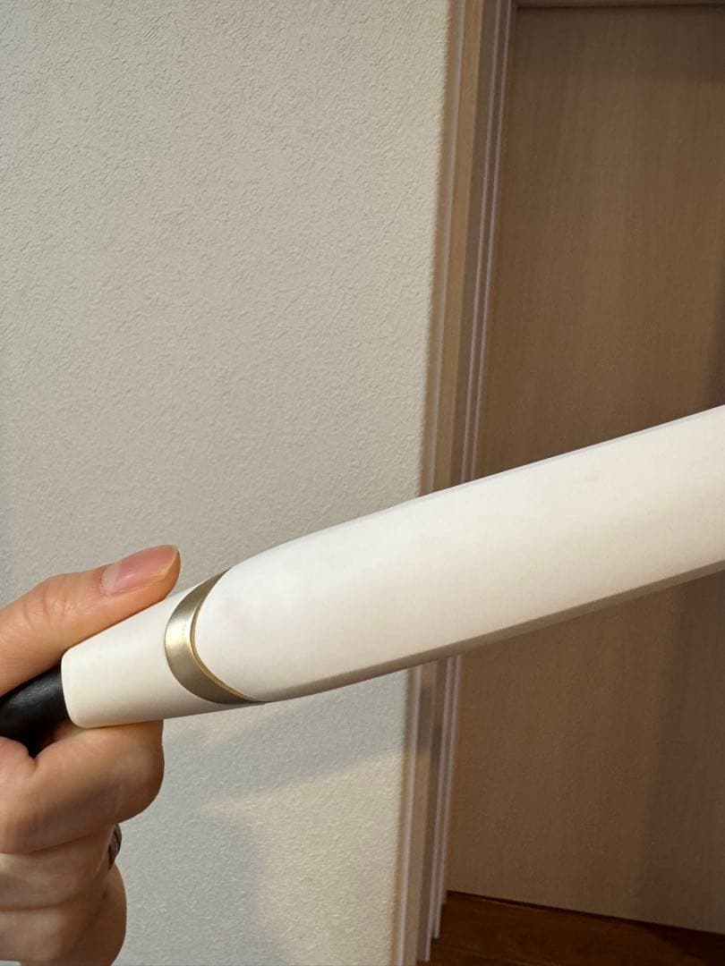 KINUJO W 絹女 ストレートアイロン DS100 海外対応 ホワイト