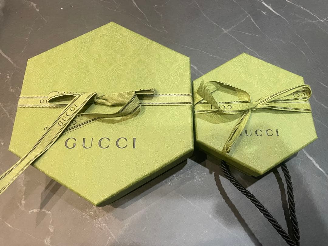 GUCCI 犬用　リード・首輪