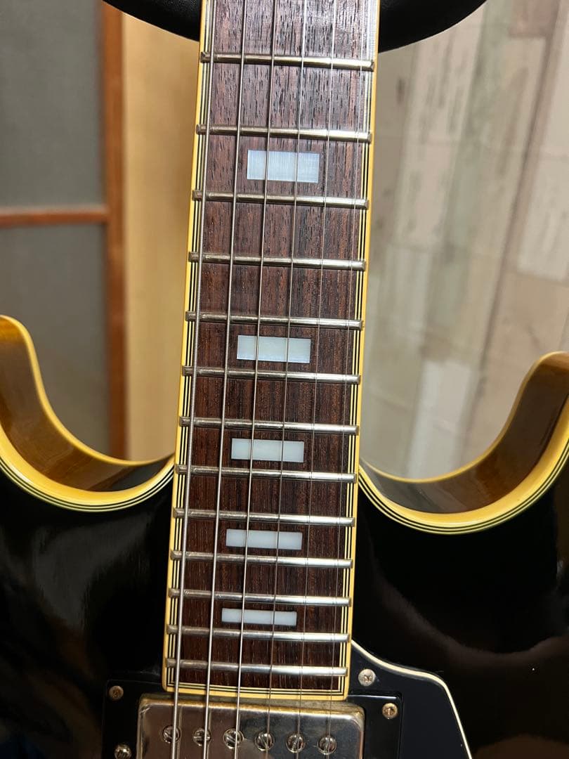 Aria Pro II TA-03 セミアコ　アリアプロ　ソフトケース付き