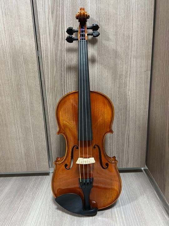 【新品同様】Gliga Gama2 4/4 弓、ケース、肩当てセット