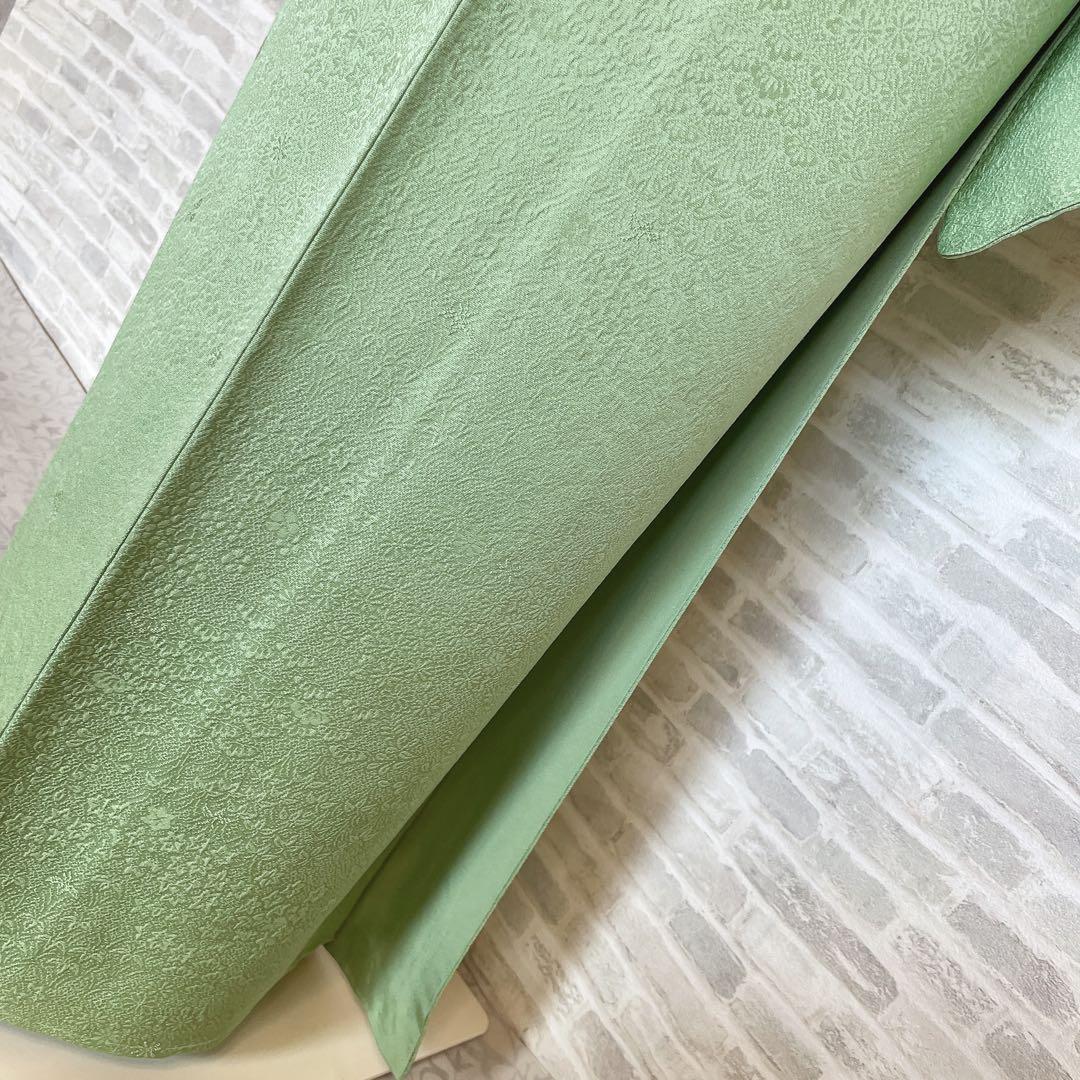 色無地　フルセット　丹後ちりめん　嵯峨野　蔓柏紋　パールトーン　地紋　H10