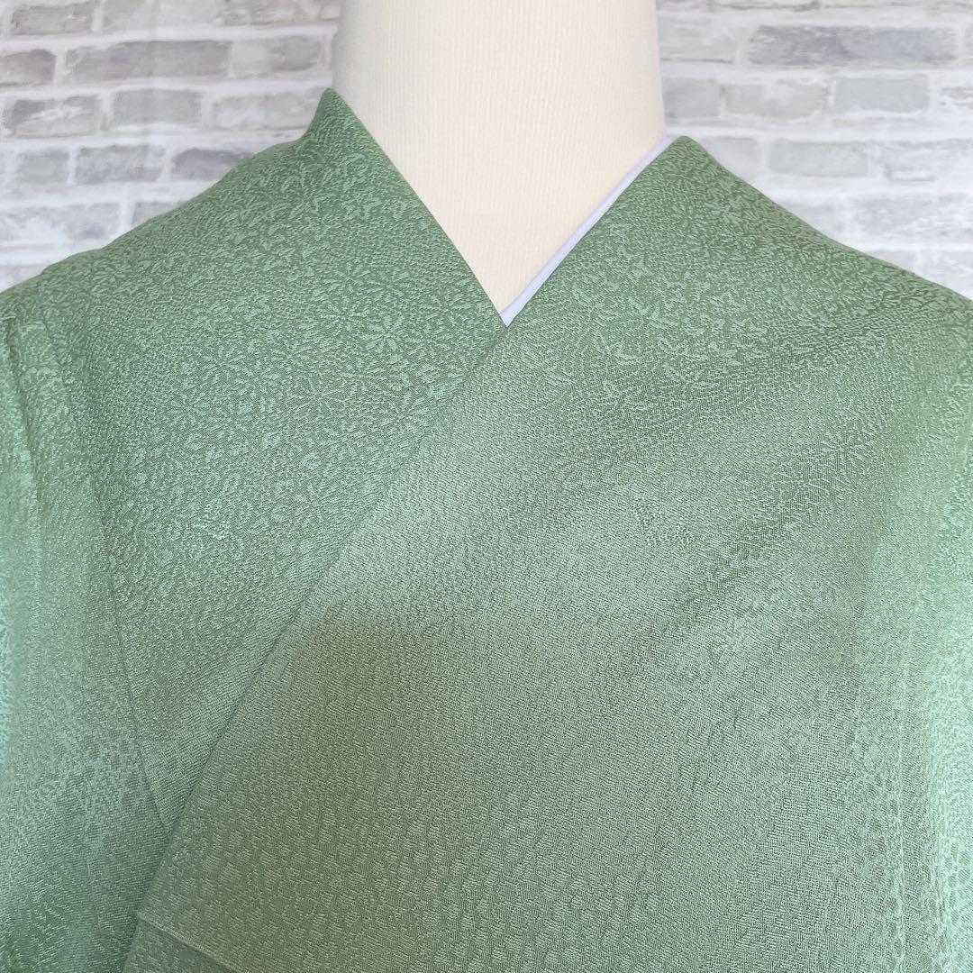 色無地　フルセット　丹後ちりめん　嵯峨野　蔓柏紋　パールトーン　地紋　H10