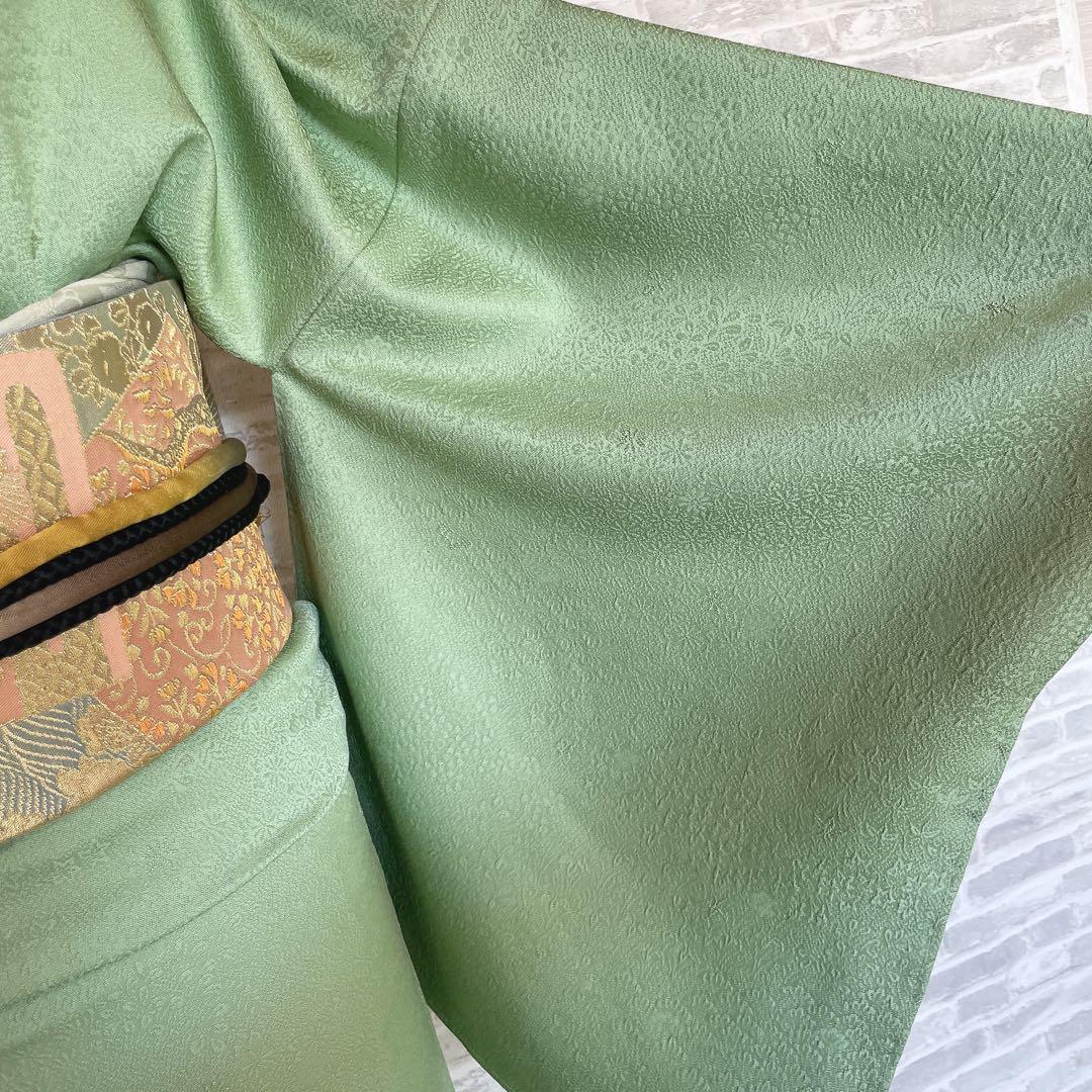 色無地　フルセット　丹後ちりめん　嵯峨野　蔓柏紋　パールトーン　地紋　H10