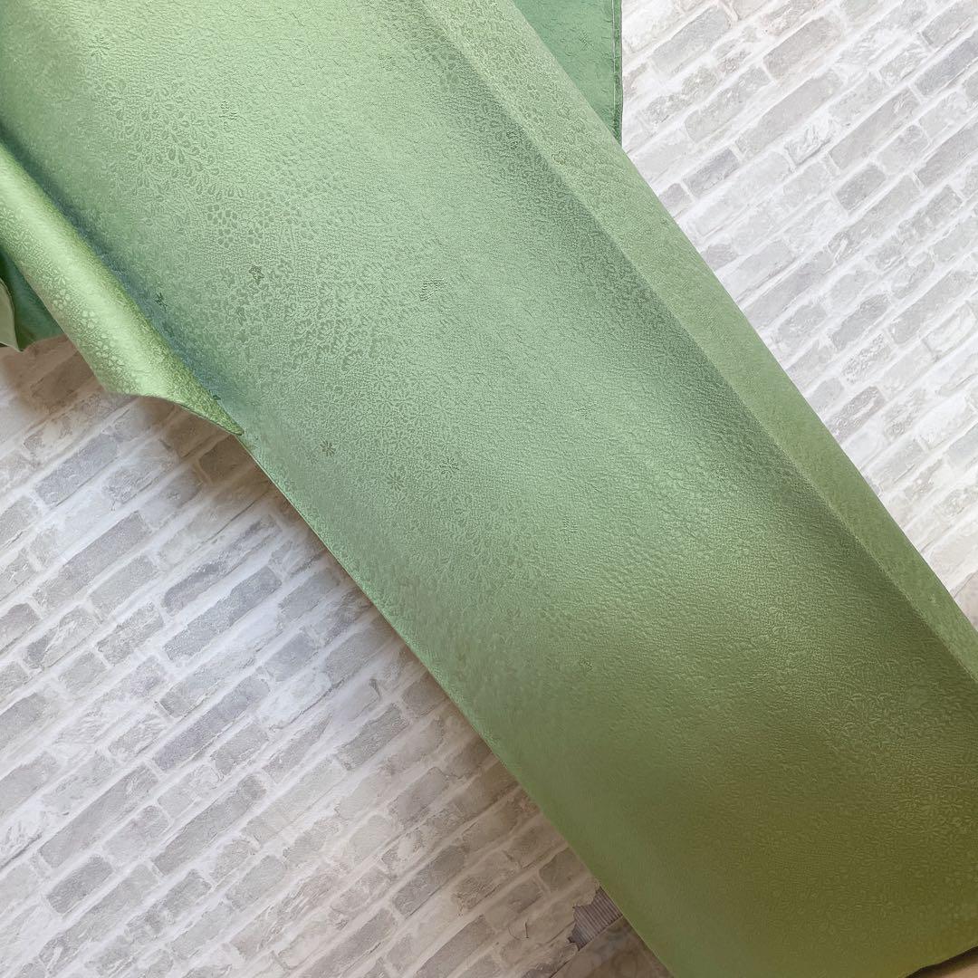 色無地　フルセット　丹後ちりめん　嵯峨野　蔓柏紋　パールトーン　地紋　H10