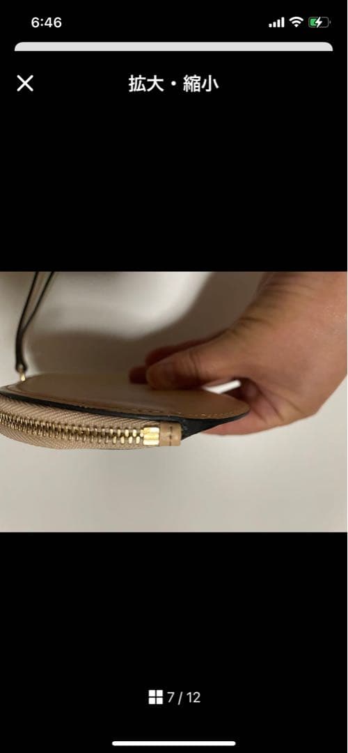 DELVAUX ベージュ ケース