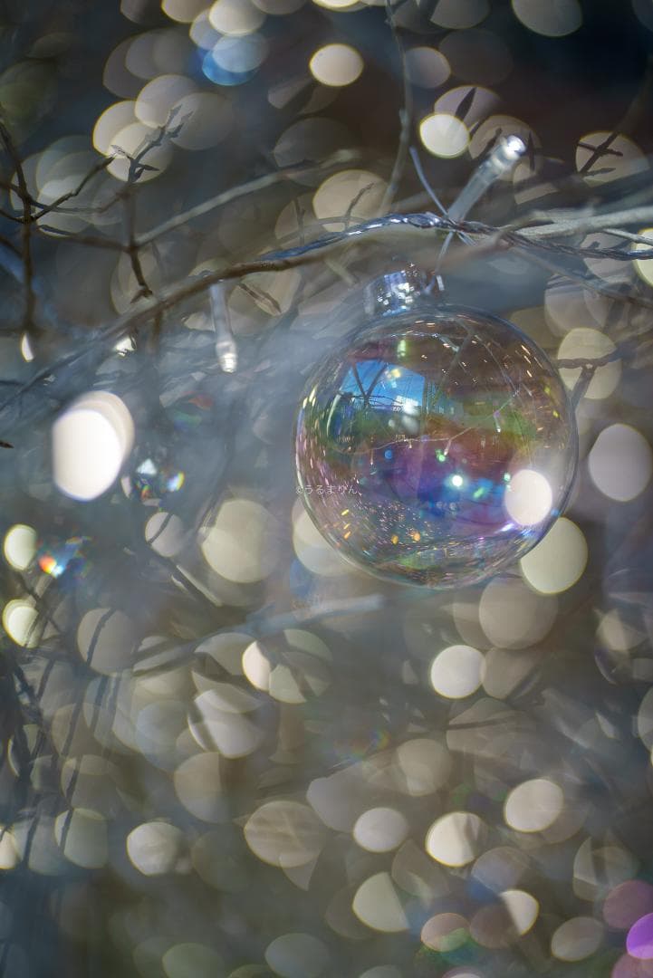 Dyz様　極美品！現代最高の50mm！SONY FE 50mm F1.2 GM