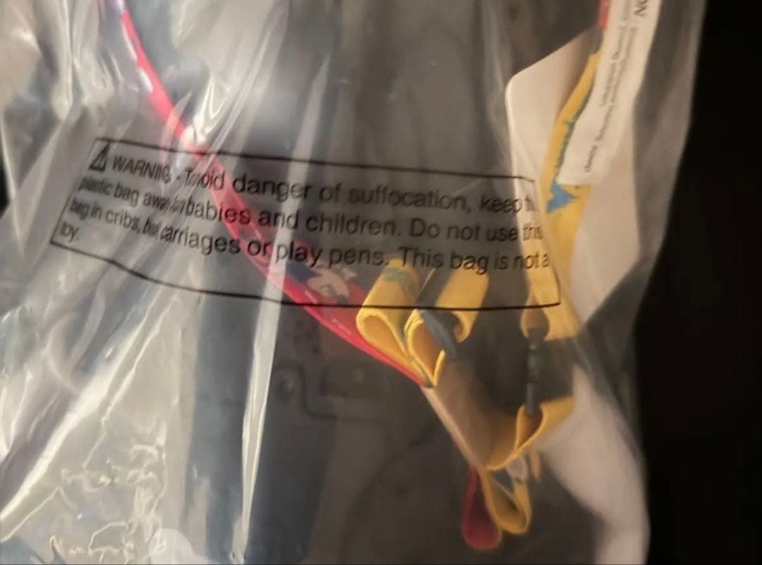 香港ディズニー　ポップコーンバケット