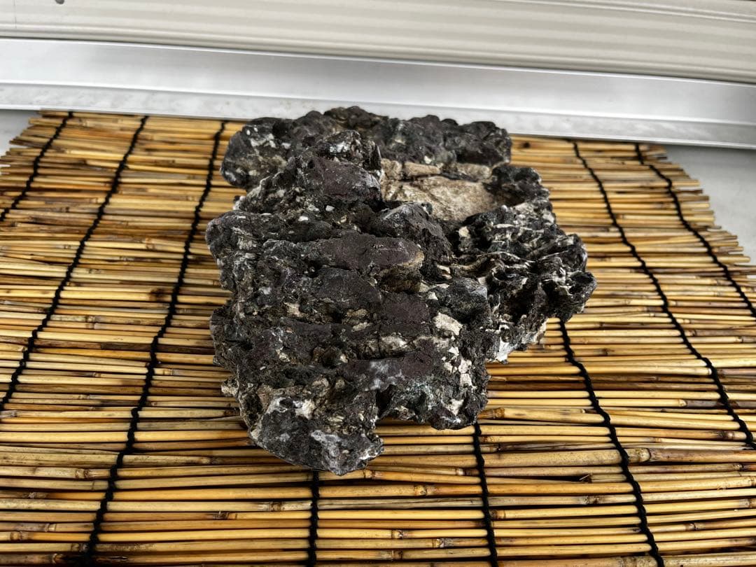 佐治石〈29〉【Taiyoメダカ】