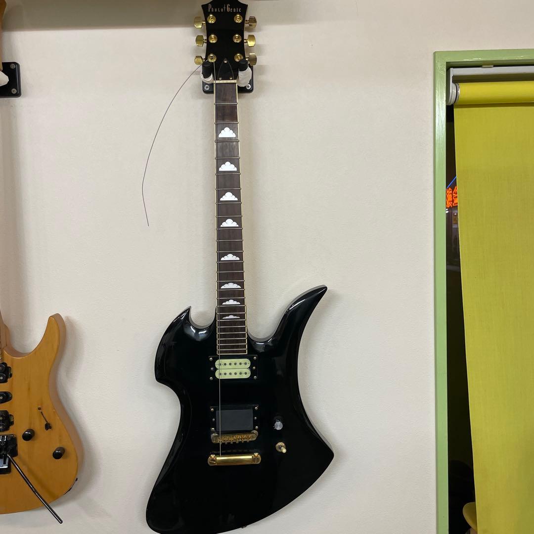 Photogenic モッキンバード