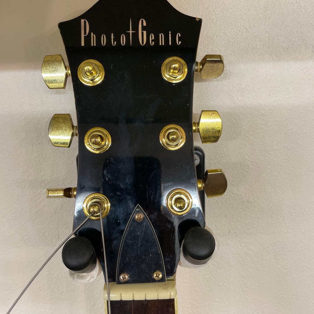 Photogenic モッキンバード