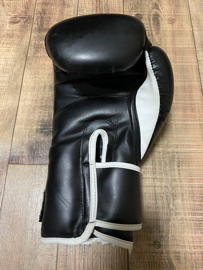 ボクシングTWINSヘッドギア L ISAMIグローブ 12オンス 大人用