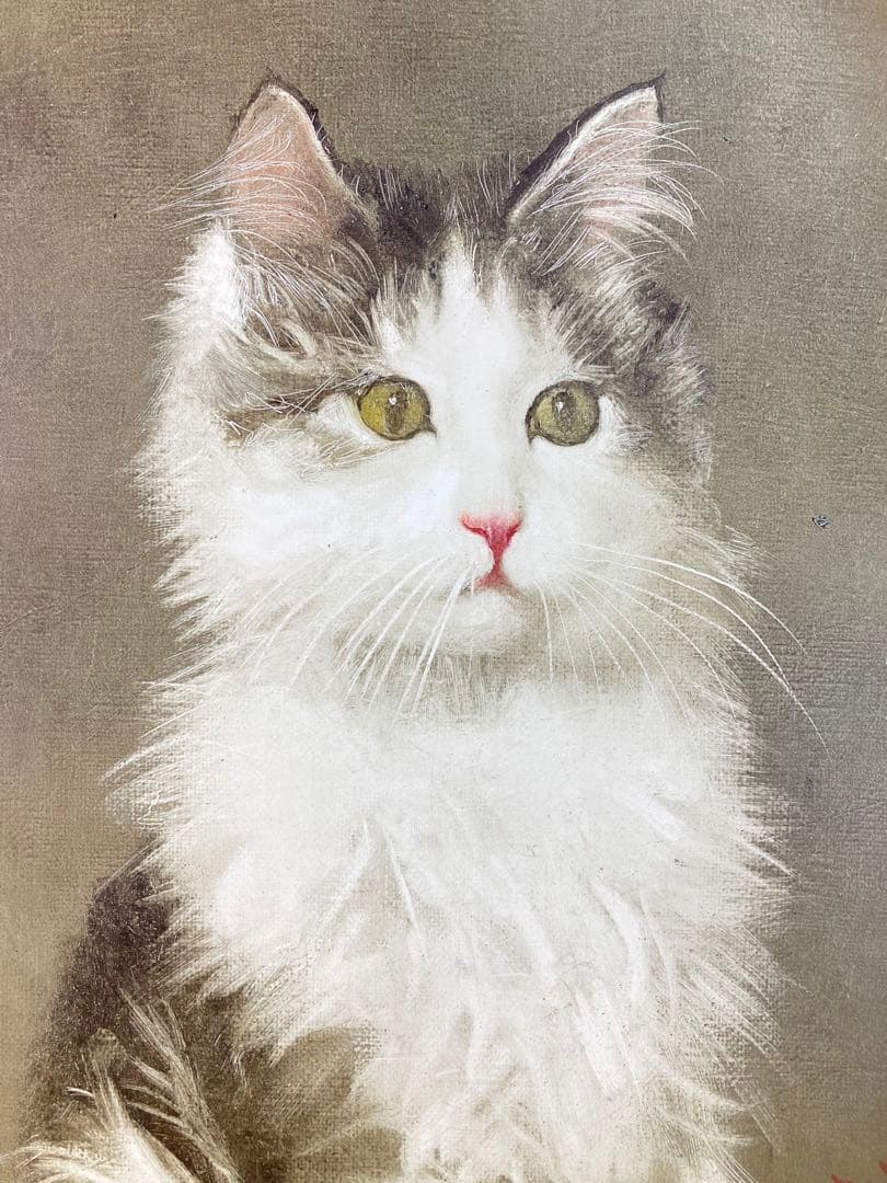 【真作保証】藤井勉「朝のマリー」油彩3号 直筆サイン 裏書き 絵画 額装 猫