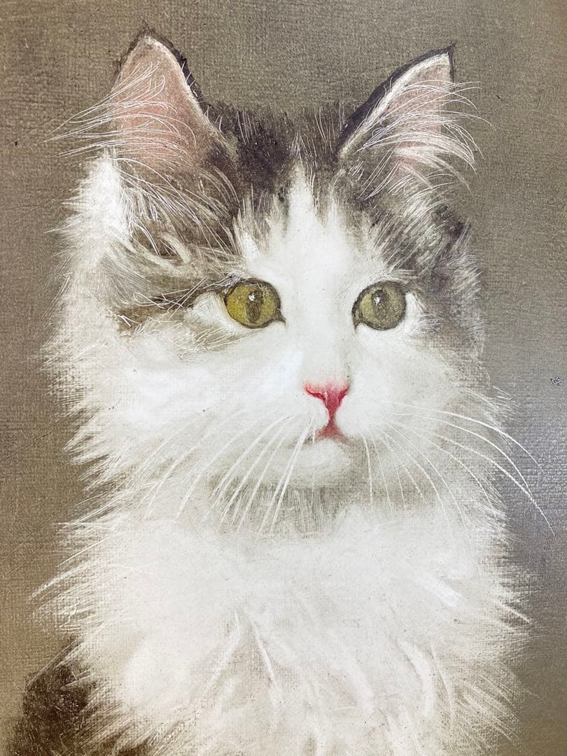 【真作保証】藤井勉「朝のマリー」油彩3号 直筆サイン 裏書き 絵画 額装 猫