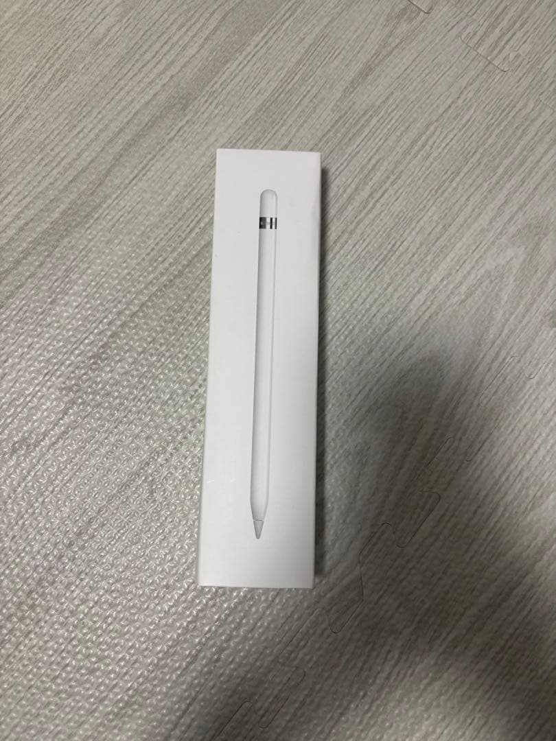 Apple Pencil 第1世代　typeC&Lightningコネクタ付属