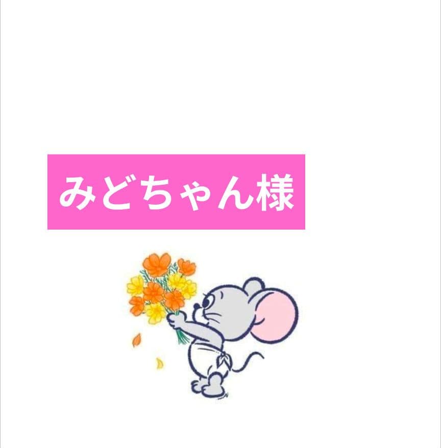 みどちゃんページ