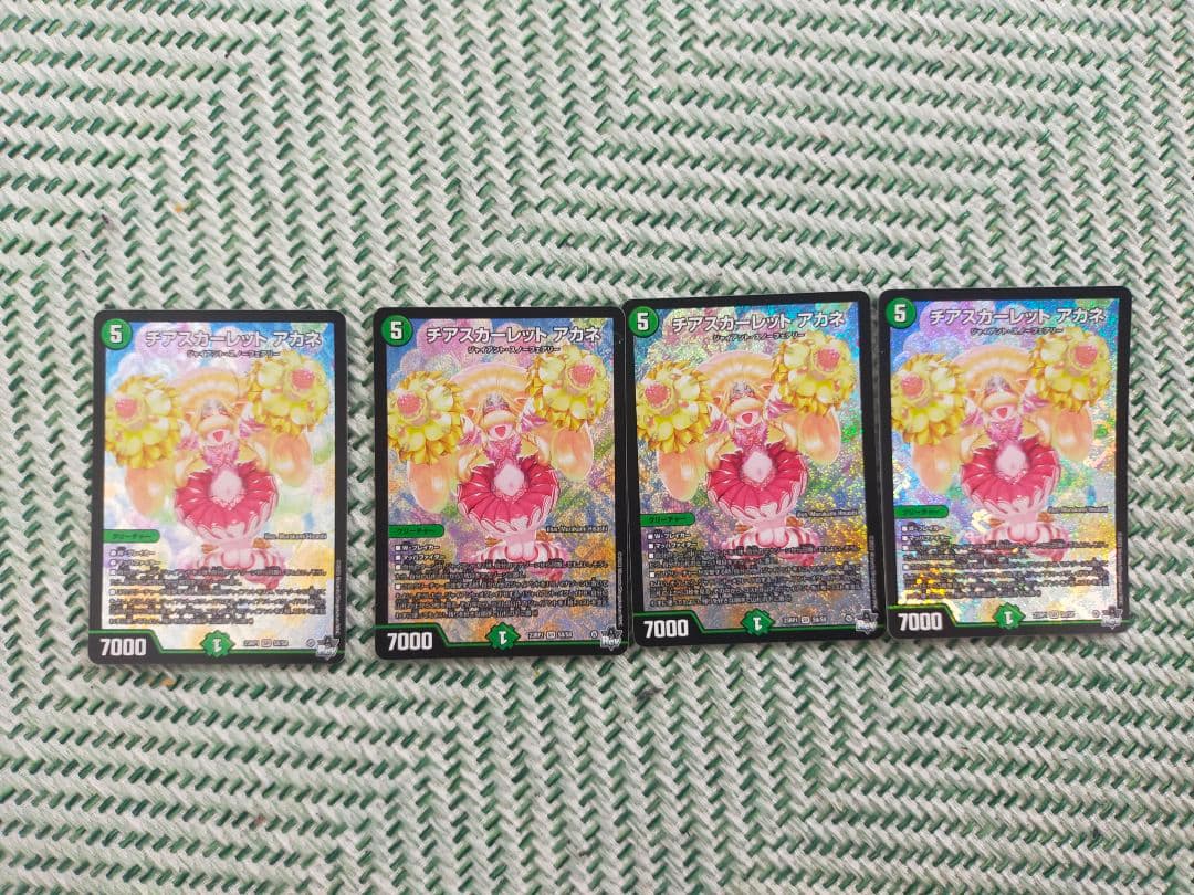 チアスカーレットアカネ