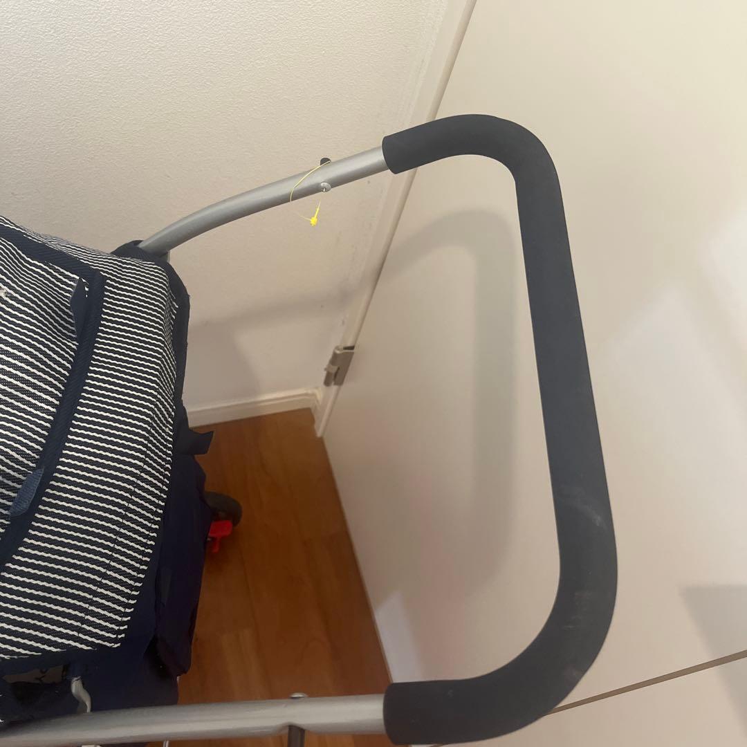 ペットパラダイス　スヌーピー　犬　バギー　ベビーカー