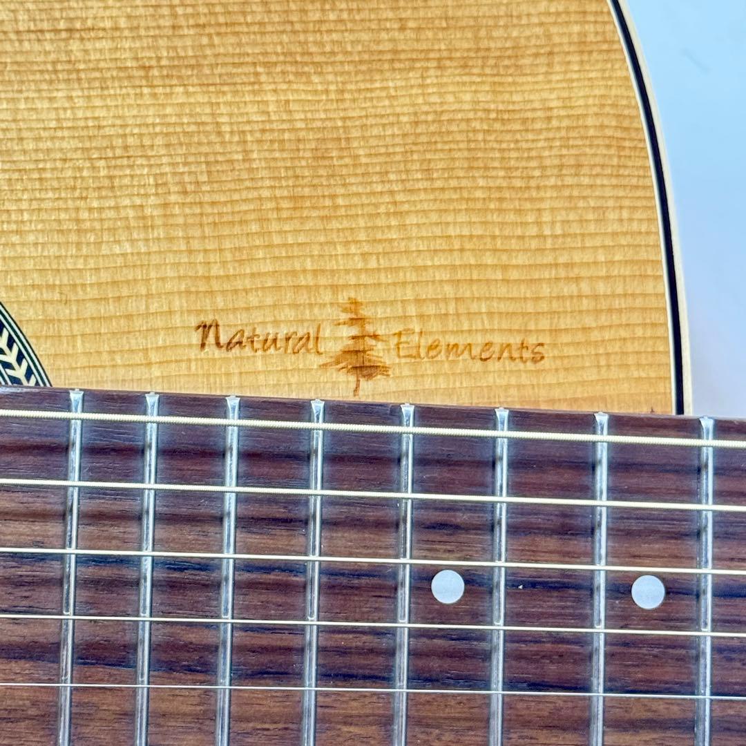 【訳あり】 Seagull シーガル AT SG T35 エレアコ アコギ