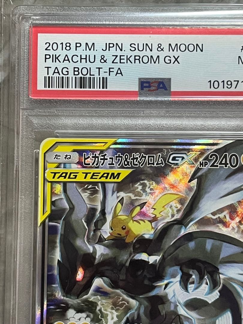 ピカチュウ＆ゼクロムpx sa psa9