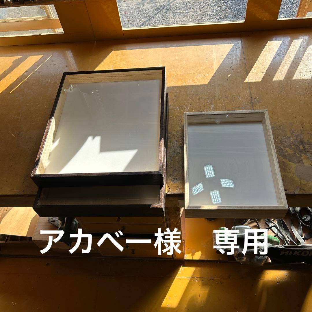 大　中標本箱　3箱