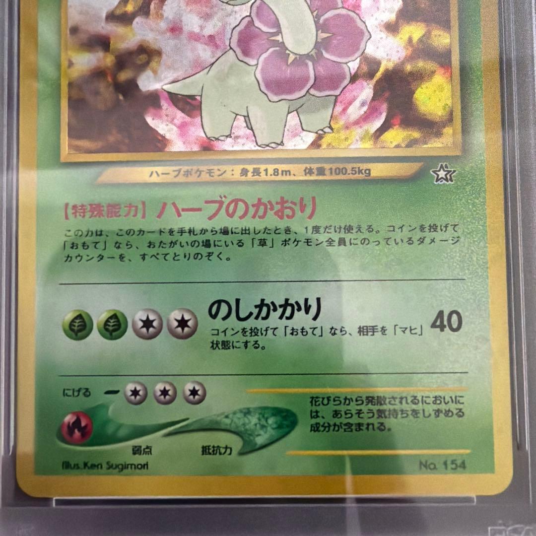 オーダイル バクフーン メガニウム 3枚セット　旧裏　PSA10+9