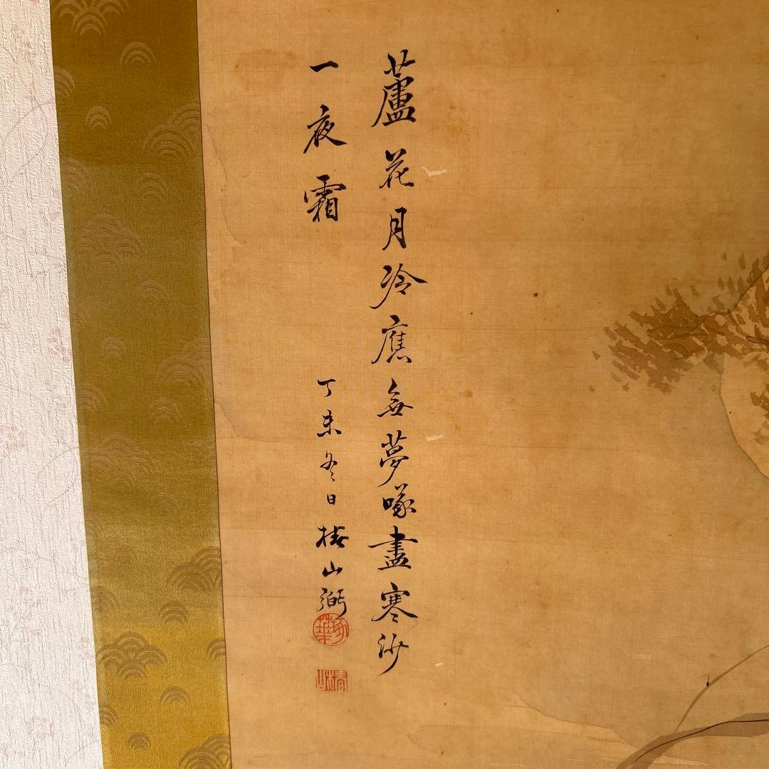 日本画掛軸　椿椿山