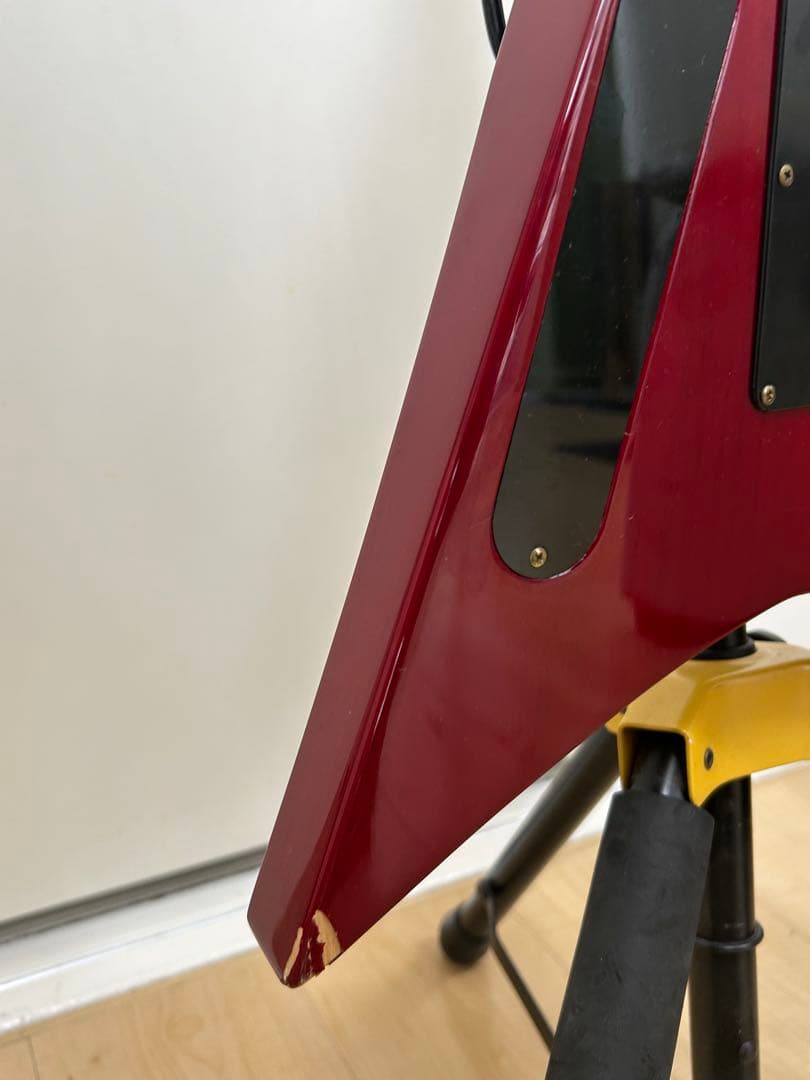 EDWARDS E-PV-143 PANTHERモデル ソフトケース付属