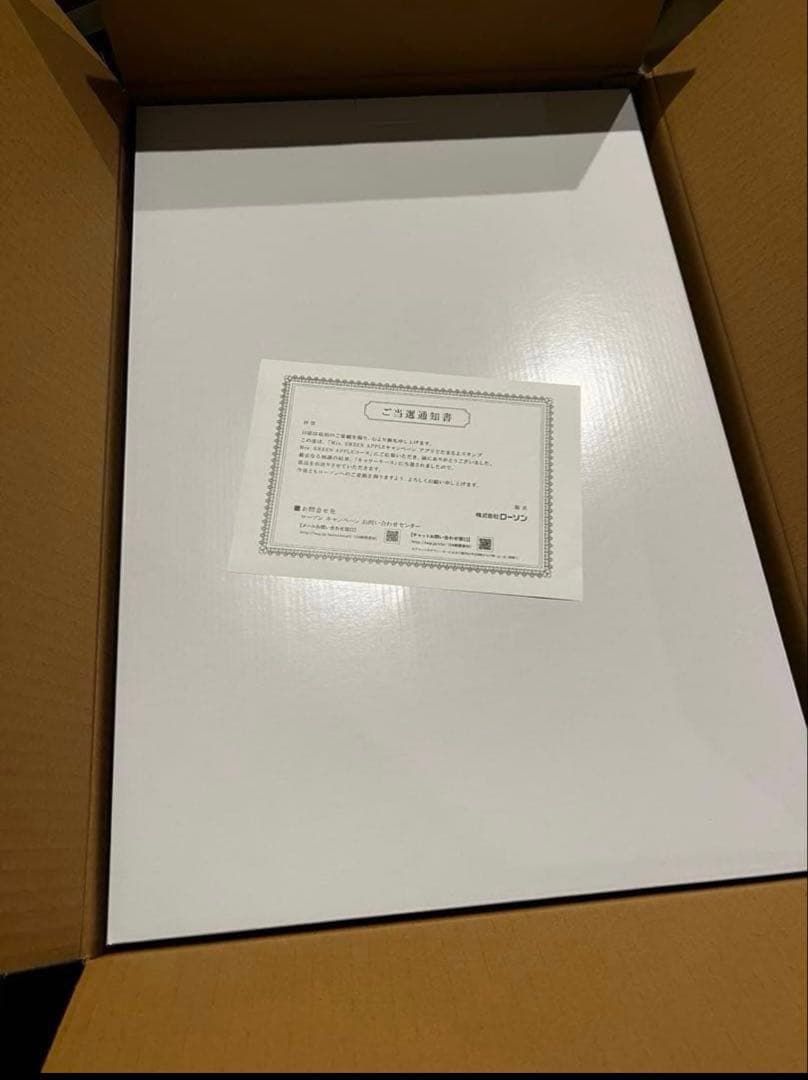 Mrs.GREEN APPLEキャリーケース　ローソンキャンペーン当選品