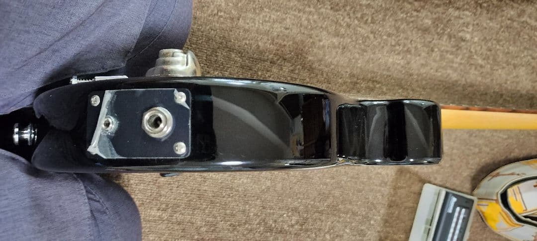 ラ*ン様 だ*ー様 Pignose ピグノーズ PGG-200 アンプ内蔵エレキ