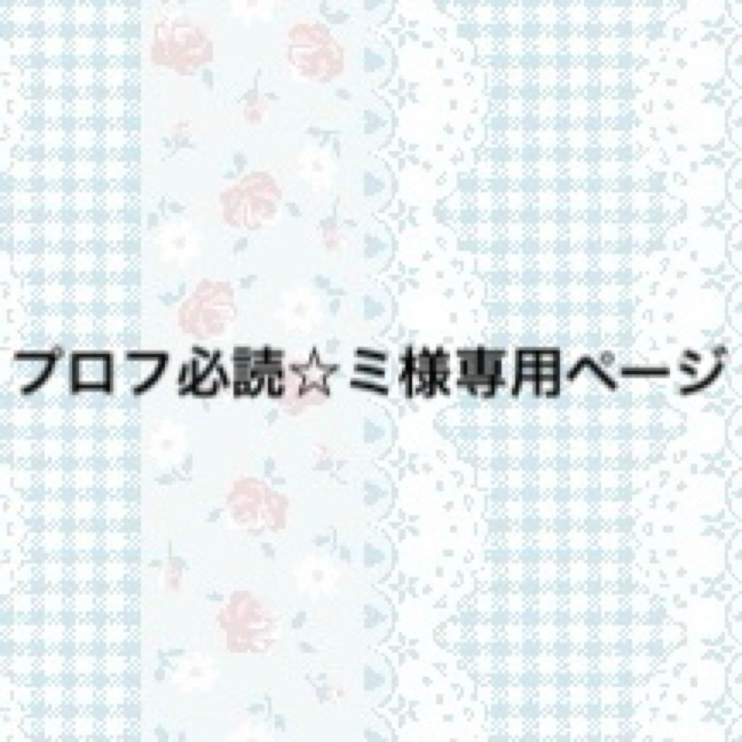 プロフ必読☆ミページ