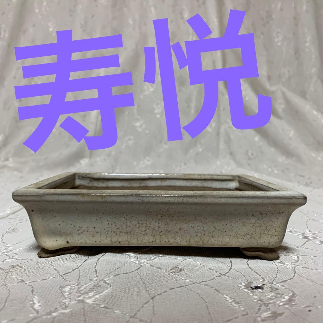 寿悦　長方　盆栽鉢