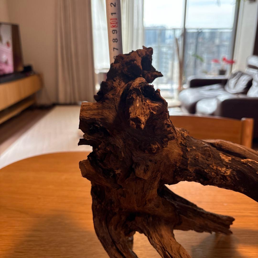 ADA流木　＊まとめ買いの場合は300円引き