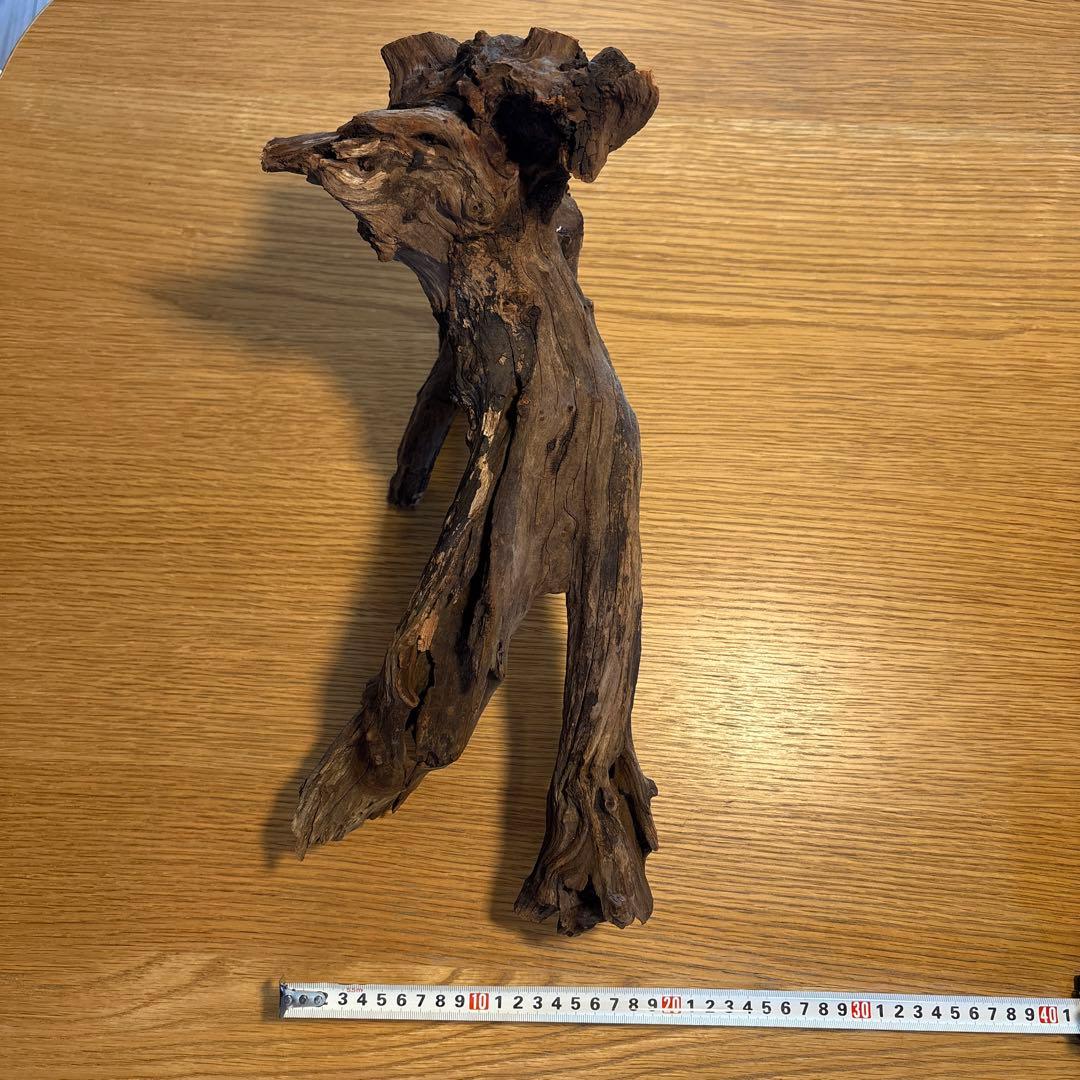 ADA流木　＊まとめ買いの場合は300円引き