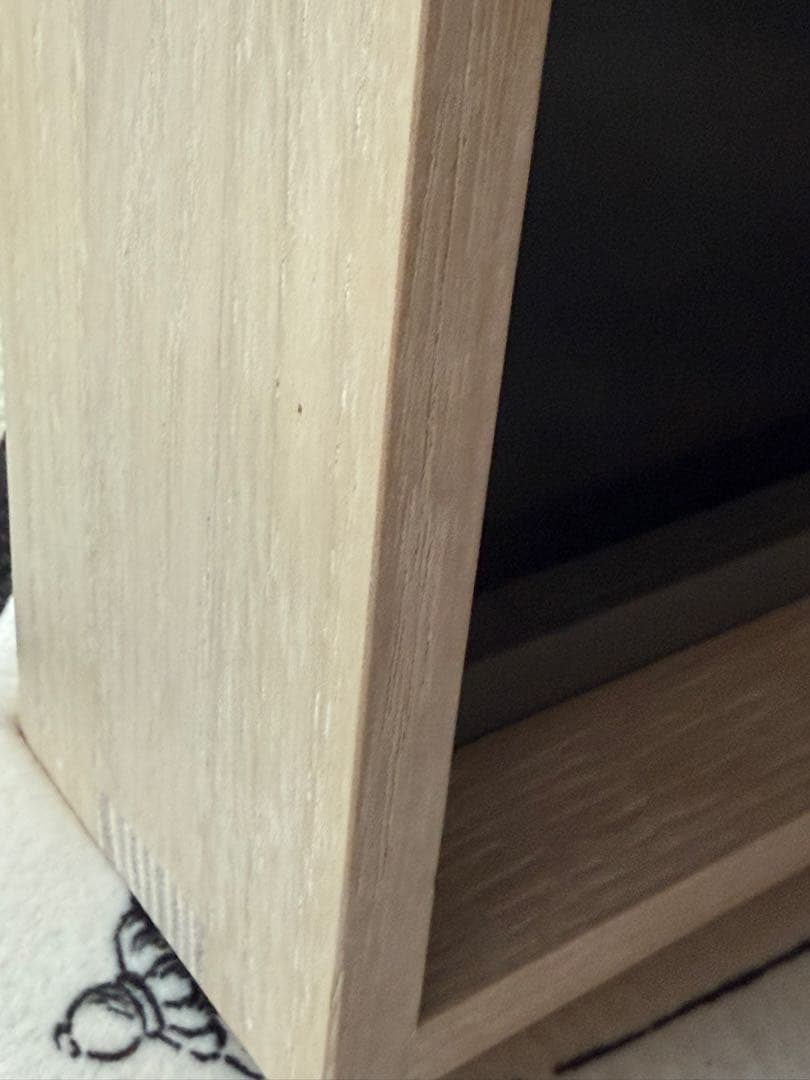 Atmoph Window2 ディズニーカリモク