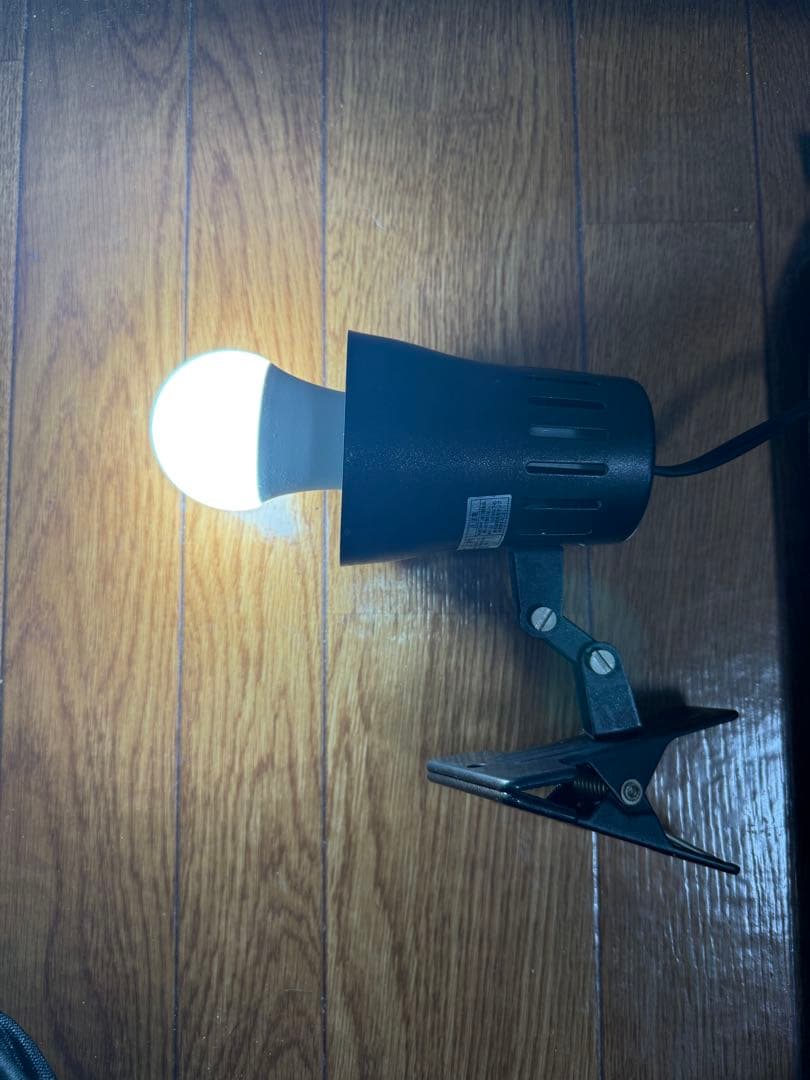 いまいずみページ