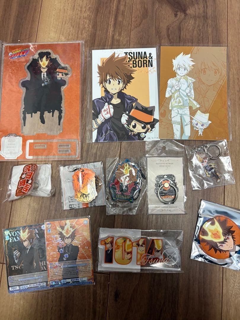 沢田綱吉　グッズセット　REBORN