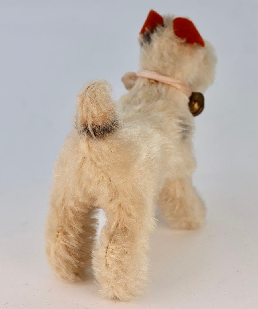 1954 FoxyTerrier シュタイフ・ビンテージ品 10cm ボタン無し