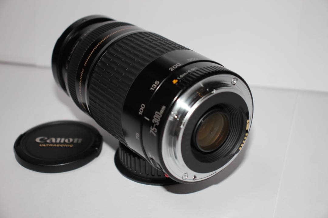 フード付き/望遠レンズ/CANON EF 75-300㎜ F4-5.6