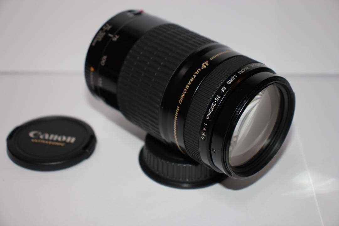 フード付き/望遠レンズ/CANON EF 75-300㎜ F4-5.6