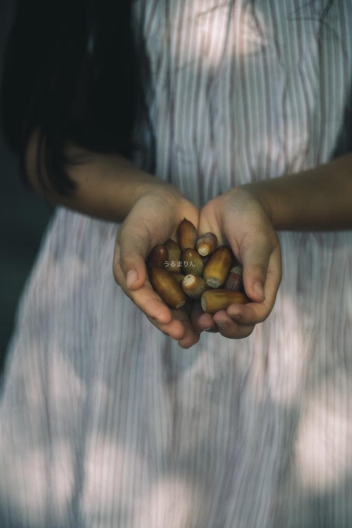 格安！バブルボケ！Meyer TRIOPLAN 100mm F2.8 ゼブラ