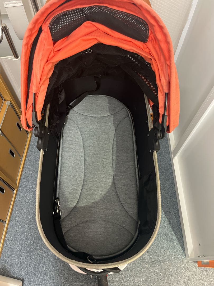 【純正おまけ多数有】エアバギー ドーム3 ラージ キャロット