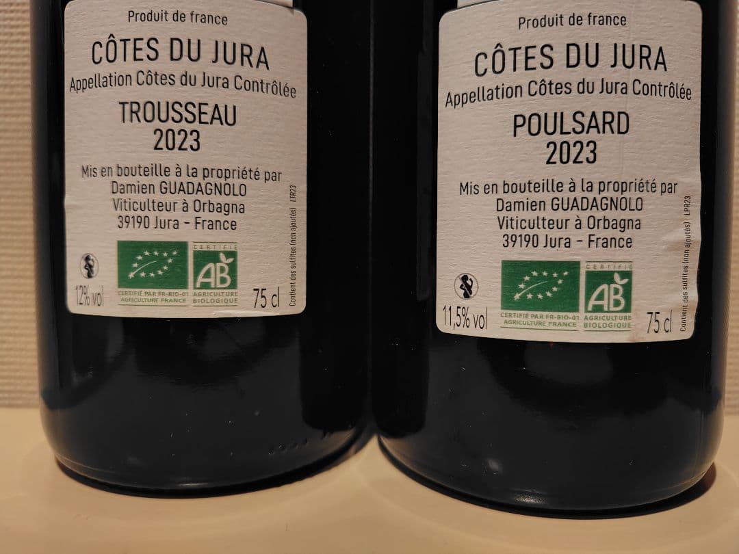 ダミアン ゴアダニョロ 2023 2本セット