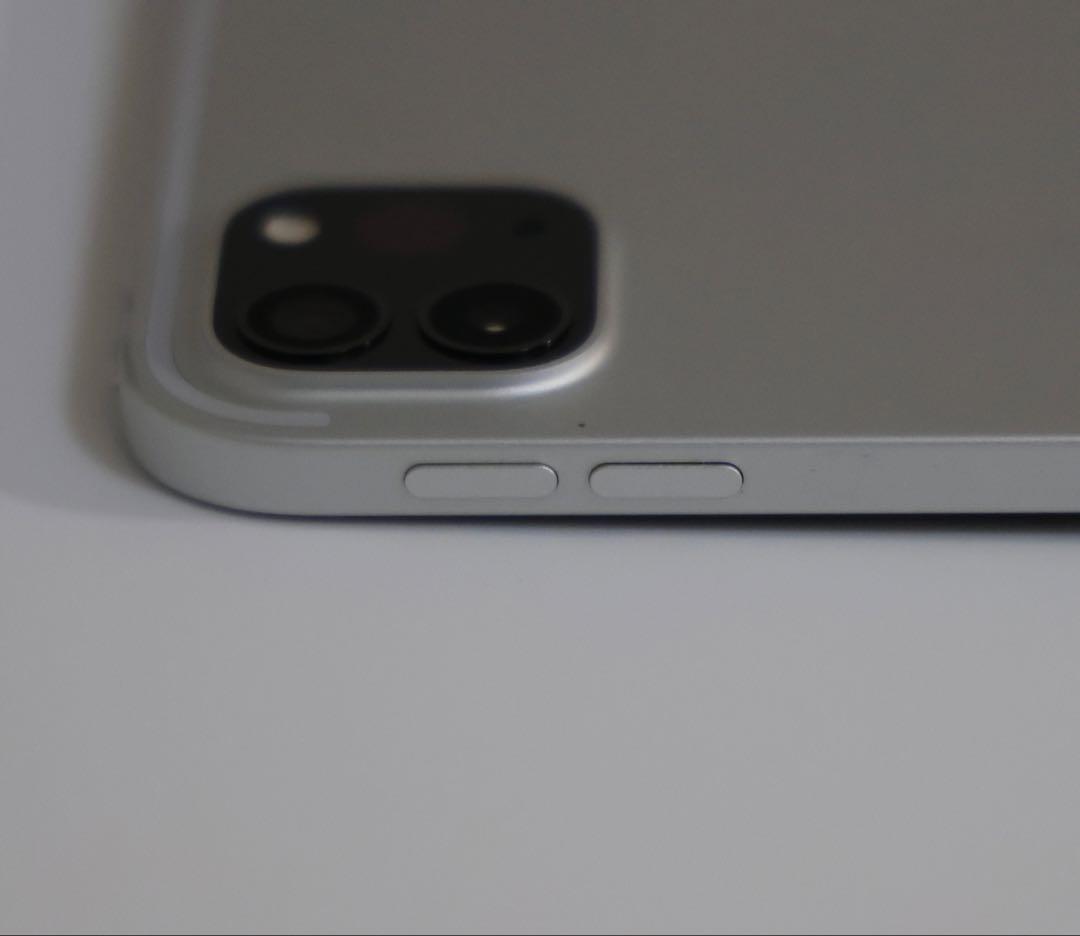 iPad Pro 11インチ 第2世代 Apple pencil第２世代セット