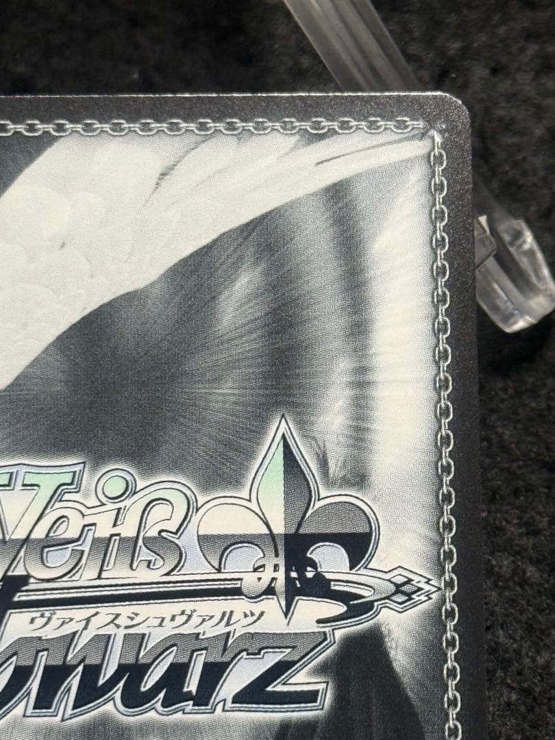 【マグネットローダー付き】キアサージ　sp