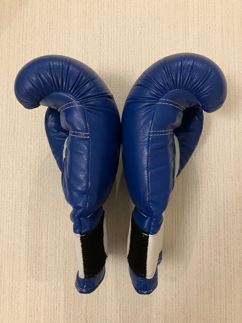 winning ウィニングボクシンググローブ ブルー 12オンス AM-12