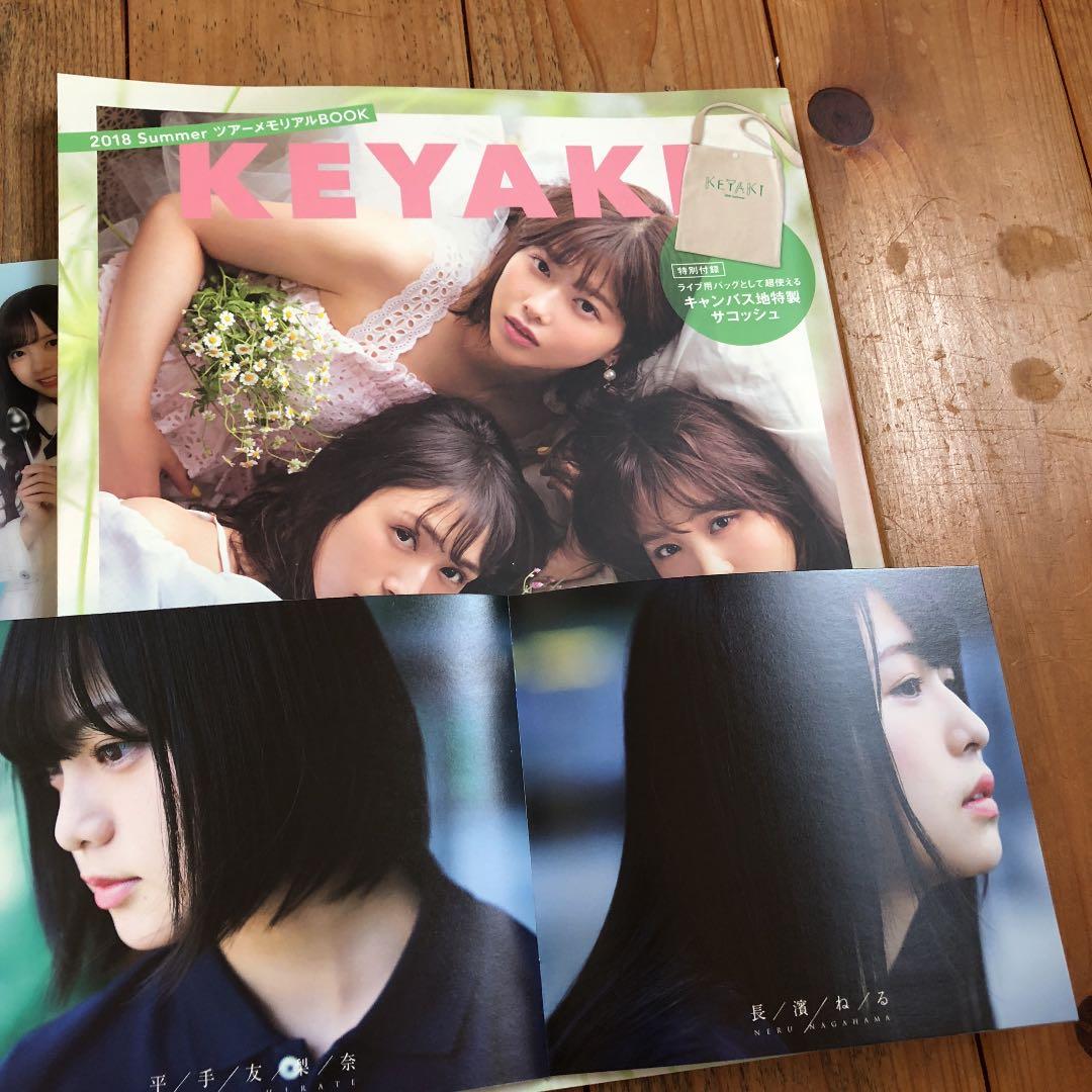 <欅坂46>引退グッズ まとめ売り