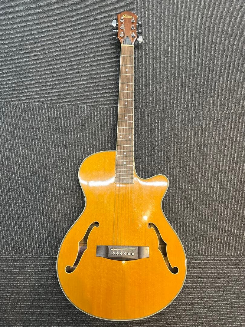 【希少】JUNO EA-50FC/VN エレアコ