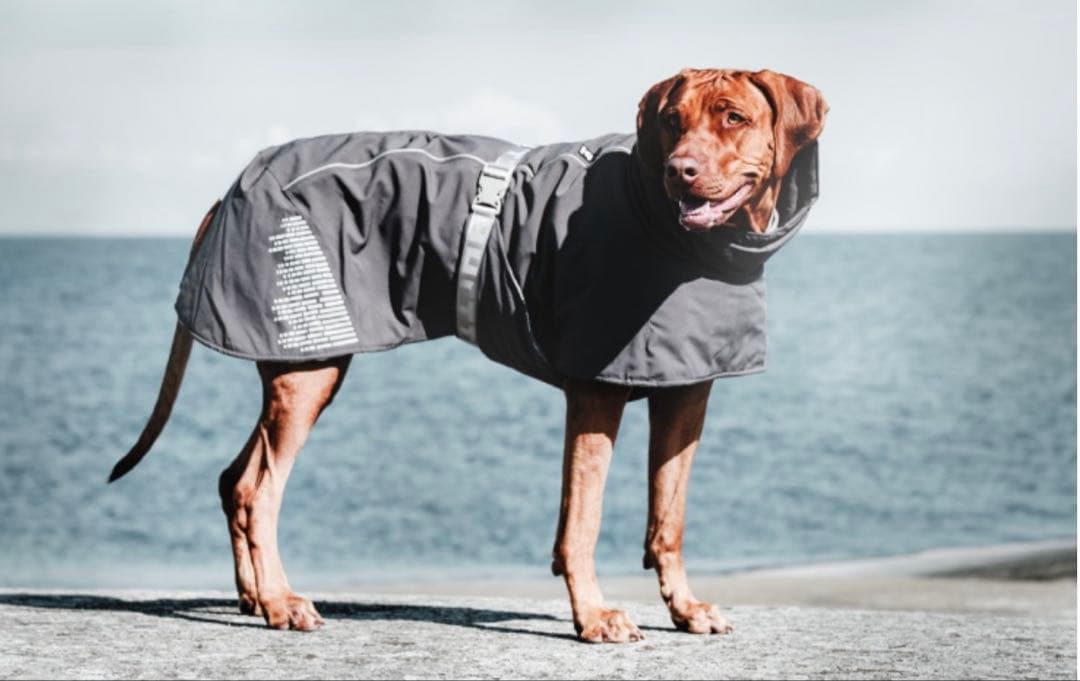 【Hurtta】フルッタ/ドッグジャケット【エクストリームウォーマーⅢエコ】